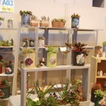 th_DSC_0069