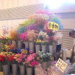 th_DSC_0168